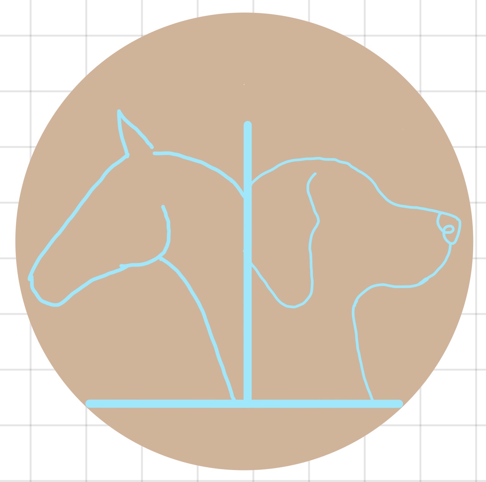 Physiotherapie & Chiropraktik für Hunde & Pferde